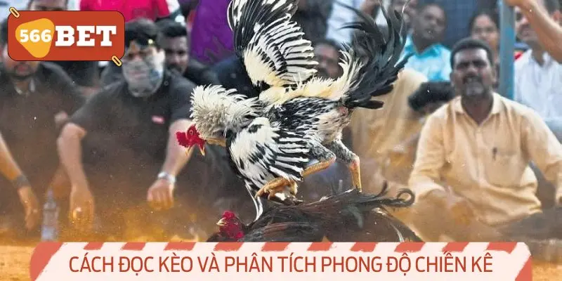 Cách đọc kèo và phân tích phong độ chiến kê