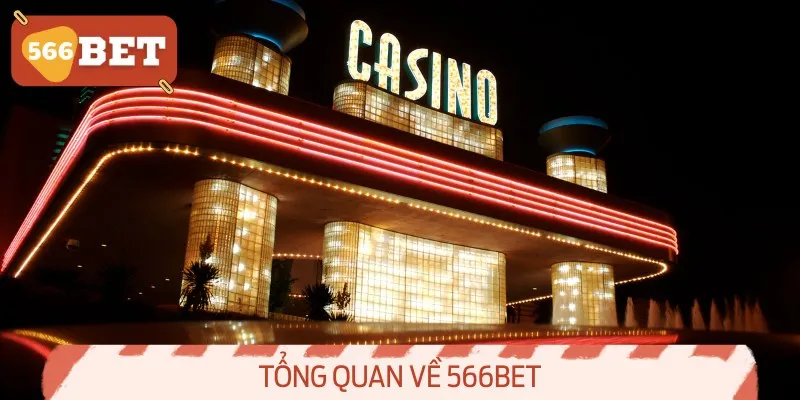 Tổng Quan Về 566BET