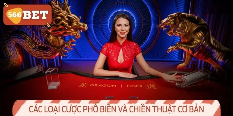 Các loại cược phổ biến và chiến thuật cơ bản