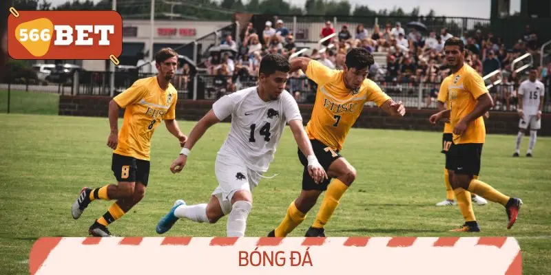 Bóng đá