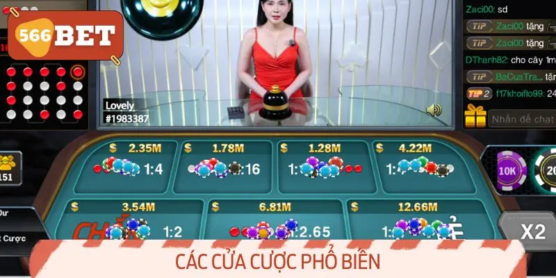 Các cửa cược phổ biến